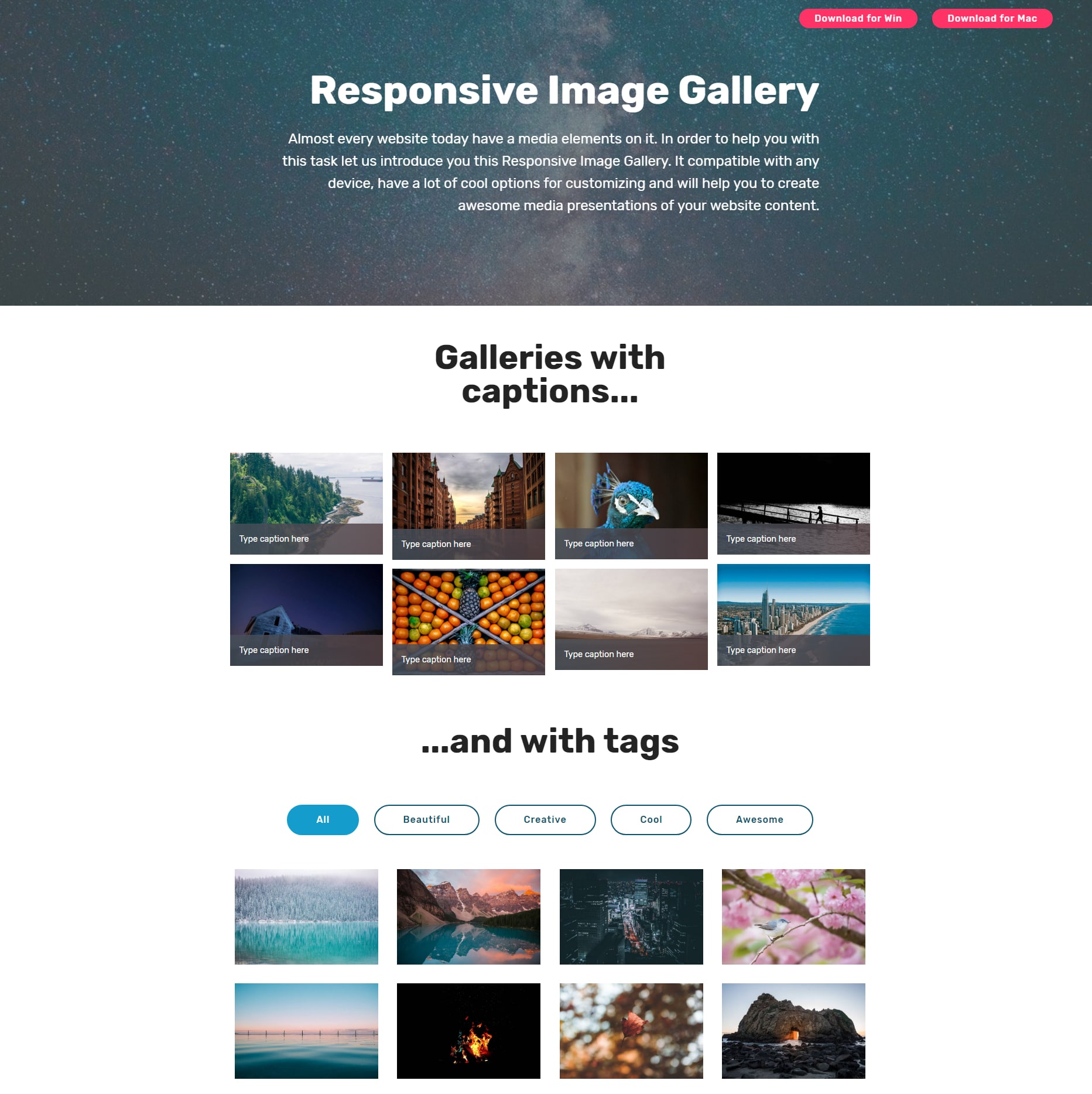 CSS Bootstrap Photo Gallery